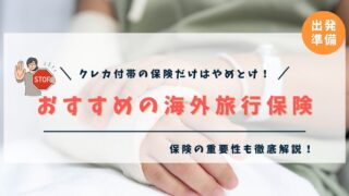 ワーホリにおすすめの海外旅行保険SafetyWingを徹底解説！【費用・補償内容・メリットなど】