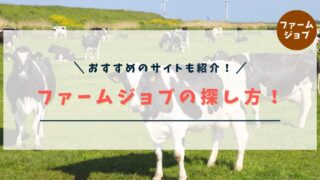 【完全版】ニュージーランド・ワーホリのファームジョブの探し方と応募方法を徹底解説！【おすすめのサイトも紹介！】