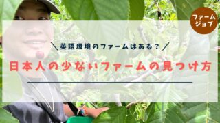 日本人の少ないファームの見つけ方