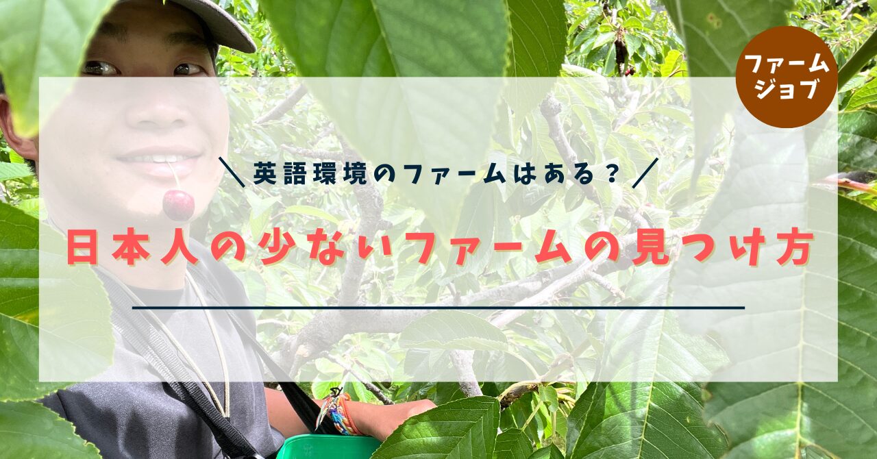 日本人の少ないファームの見つけ方