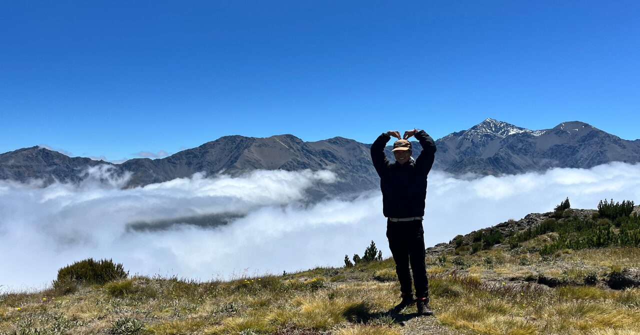 【カイコウラ】終わったと思った山頂で奇跡の雲海｜Mount Fyffeに登ってきました